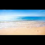De Zeester Bredene-aan-Zee