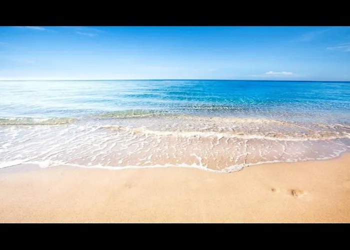 De Zeester Bredene-aan-Zee